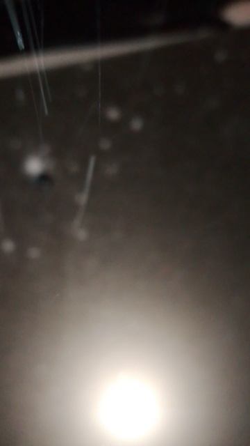 Снег заметает и продолжает идти!) смотреть онлайн