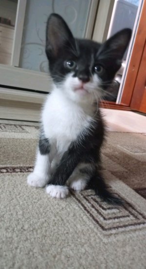 утренняя зарядка для мальчиков и девочек