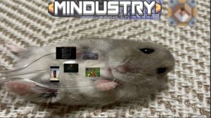 Миндустри "1 ЭТАП НАЧАЛО" (не прохождение)