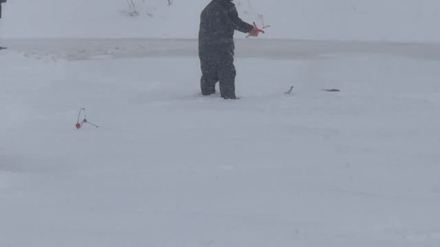 1000137969.mp4 смотреть онлайн