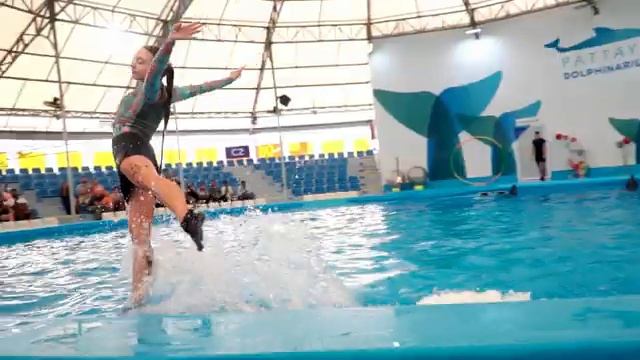 Шоу дельфинов в Дельфинарии (Таиланд, Паттайя) смотреть онлайн