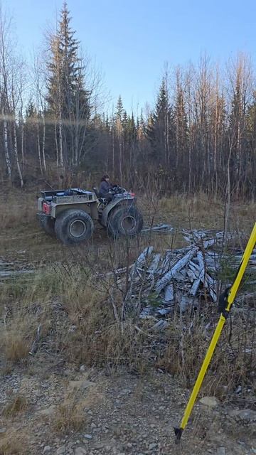 Отвод и таксация лесосек Пермский край.