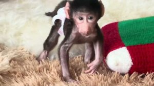 Ночь не спали и Николь пытается мной манипулировать, чтобы я взяла ее на ручки😂