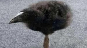 Просто летаю на премиумных самолётах (СССР) #1