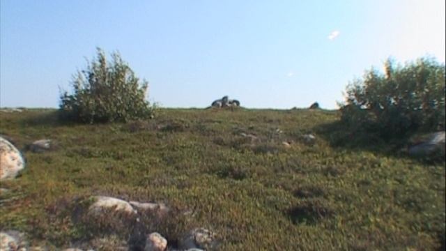 © "Могильники"  Большой Заяцкий 2003 г