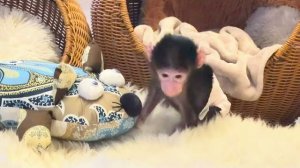 ТАК МИЛО! Николь уже немного сама играется и укладывает себя спать😘