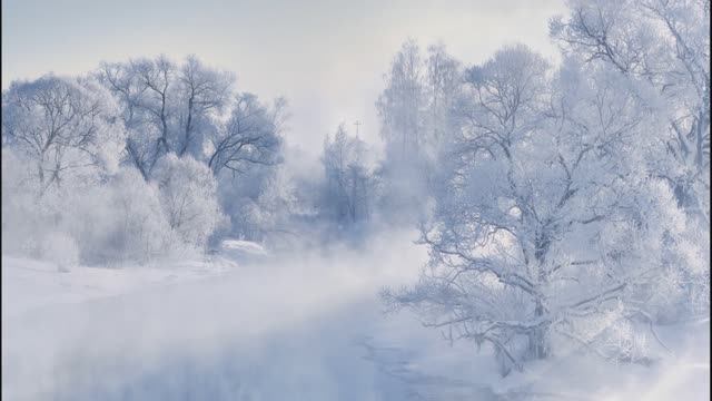 The Modern Jazz Quartet - Tears From The Children