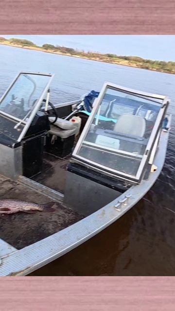 Знакомая Лодка и снова ЩУКА! смотреть онлайн