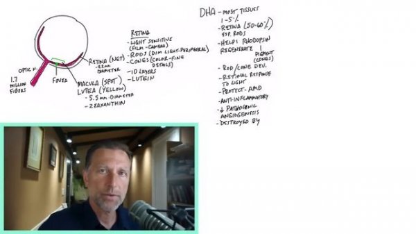 Dr.Berg.Самая полезная еда для здоровья ваших глаз🙌