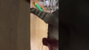 смотрим сериалы и оцениваем а потом будет один день глазами лошади сериал