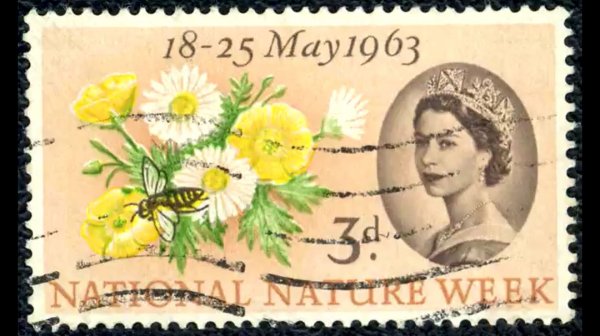 ПОЧТОВЫЕ МАРКИ .АНГЛИЙСКАЯ КОРОЛЕВА. Видео от SAFa