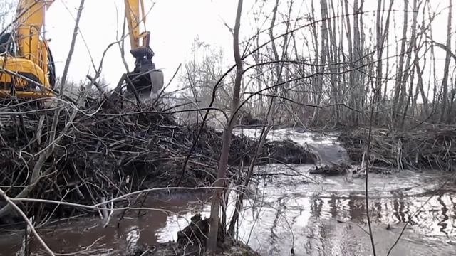 Бобры не ожидали, что мы доберёмся до этой плотины смотреть онлайн