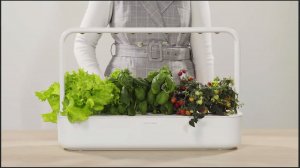 40 ПОЛЕЗНЫХ и НЕОБЫЧНЫХ гаджетов для дома и дачи | УМНЫЕ устройства для огорода и сада | ОБЗОР 2026