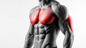 Тренировка груди и трицепсов: Пошаговое объяснение и техника