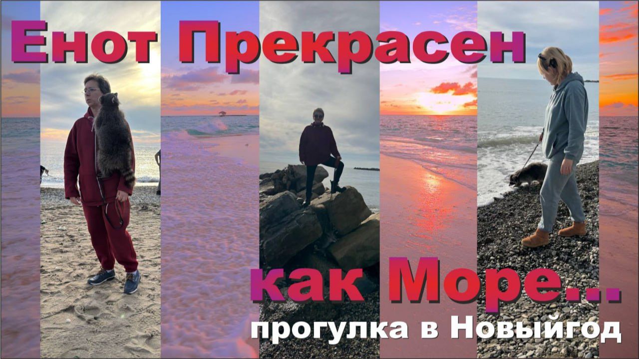 Как крошка енот и ее друг гуляли в новый год смотреть онлайн