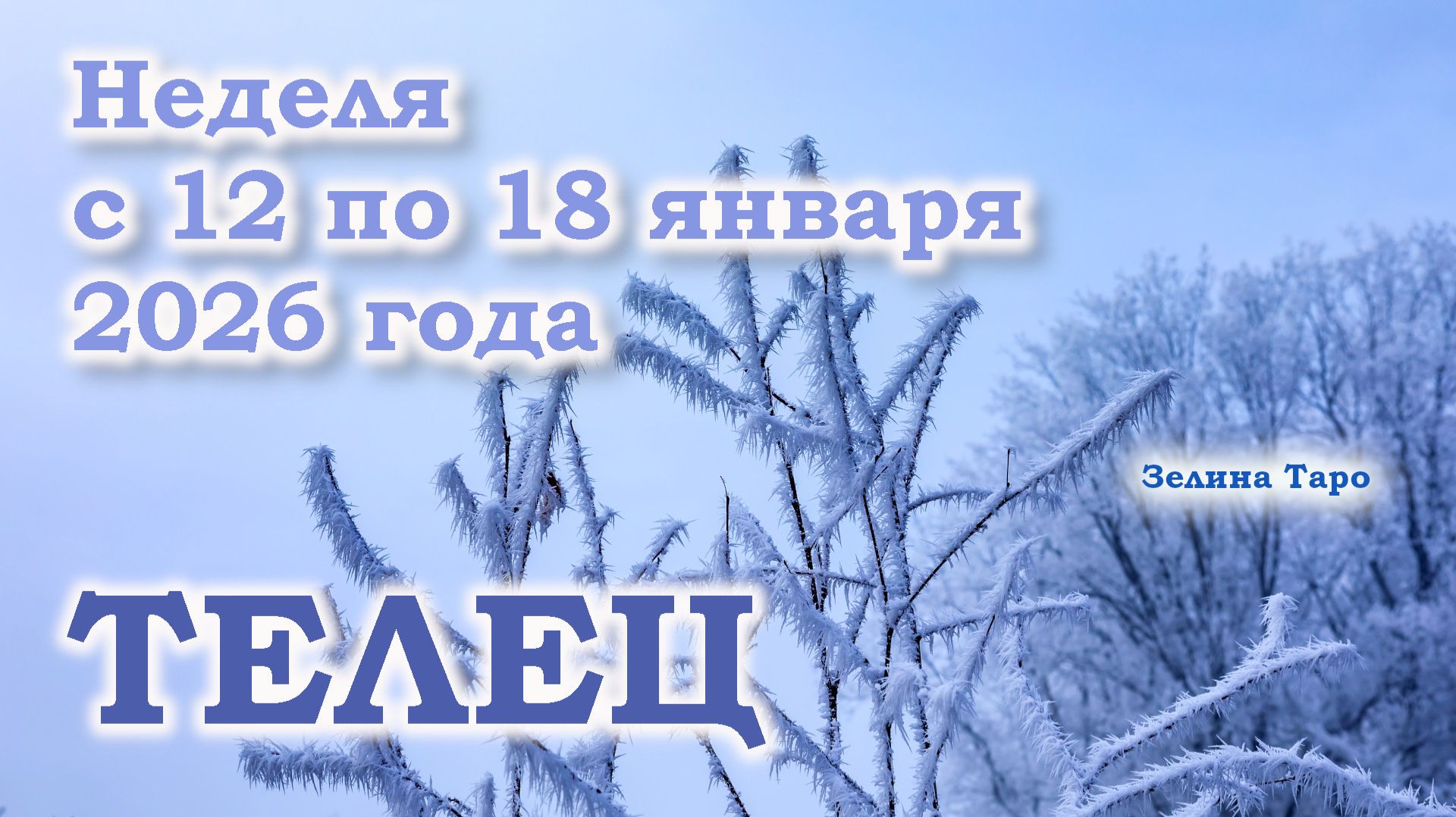 ТЕЛЕЦ | ТАРО прогноз на неделю с 12 по 18 января 2026 года смотреть онлайн