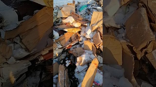 Разгрузка Мусоровозы MAN-TGM☺️💪👍👍👍👊🤝 смотреть онлайн