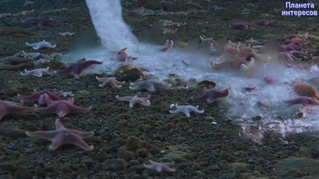 САМЫЕ НЕВЕРОЯТНЫЕ ПРИРОДНЫЕ ЯВЛЕНИЯ ОТ КОТОРЫХ ЗАМИРАЕТ ДЫХАНИЕ. 12 УНИКАЛЬНЫХ ЯВЛЕНИЙ ПРИРОДЫ смотреть онлайн