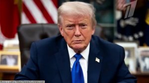 Дональд Трамп в интервью New York Times рассказал о собственной трактовке международного права.