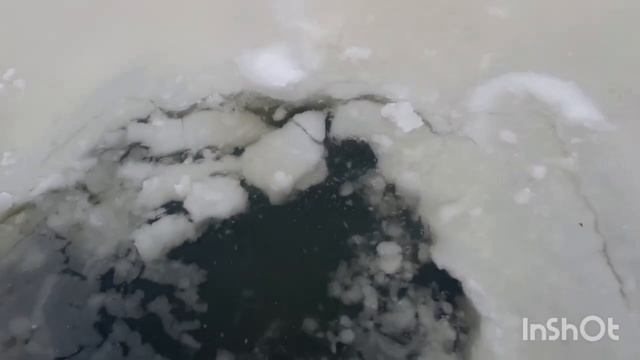 1000137985.mp4 смотреть онлайн