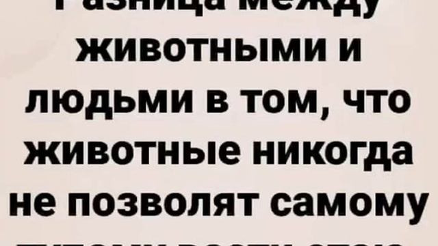 Интересные пословицы смотреть онлайн