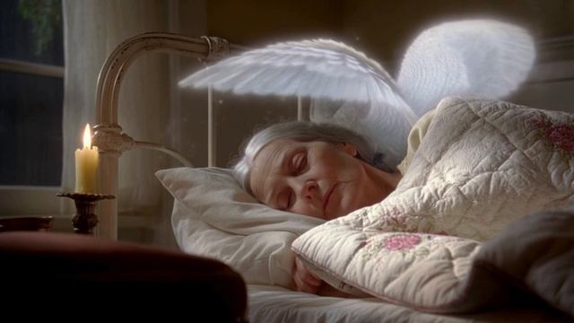 Мультик Рождественская сказка. Ангел и Рыжий кот.#cat #веселыекоты