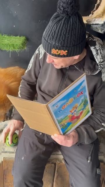 #колобок #лиса смотреть онлайн