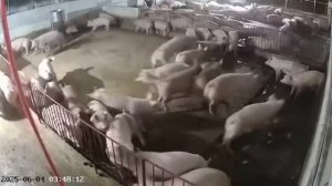 Момент прилёта «Орешника»