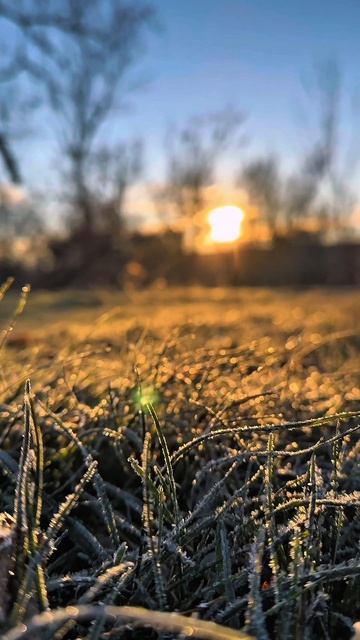 Тренировка