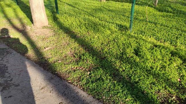 Один из дней города Евпатории | 4 января 2021 год | Крым | ХАН БАТОН XAH 6ATOH / VID_20210104_140345