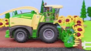 Комбайн убирает поле