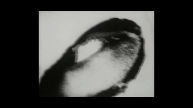 Взлом канала FOLD TV (18.05.25) смотреть онлайн