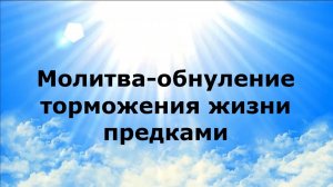 МОЛИТВА-ОБНУЛЕНИЕ ТОРМОЖЕНИЯ ЖИЗНИ ПРЕДКАМИ #наянабелосвет