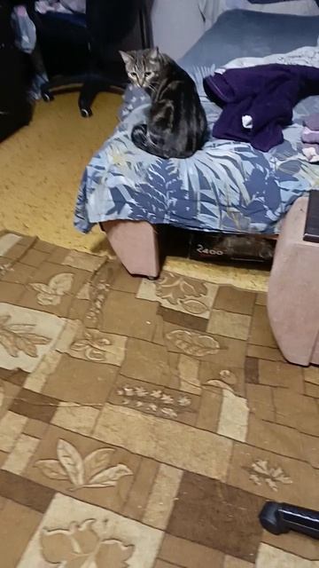 как сделать штуку для лето смотреть онлайн