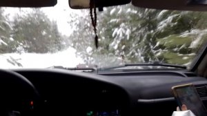 Бобры нам не друзья