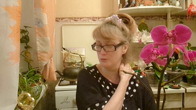 🖋️🚀ПОМОЛИТЕСЬ ИКОНЕ БЛАЖЕННОЕ ЧРЕВО 💃🔥МОИ БУДНИ🖋️ смотреть онлайн