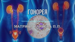 ГОНОРЕЯ*ОРИГИНАЛЬНАЯ МАТРИЦА ГАРЯЕВА П.П.