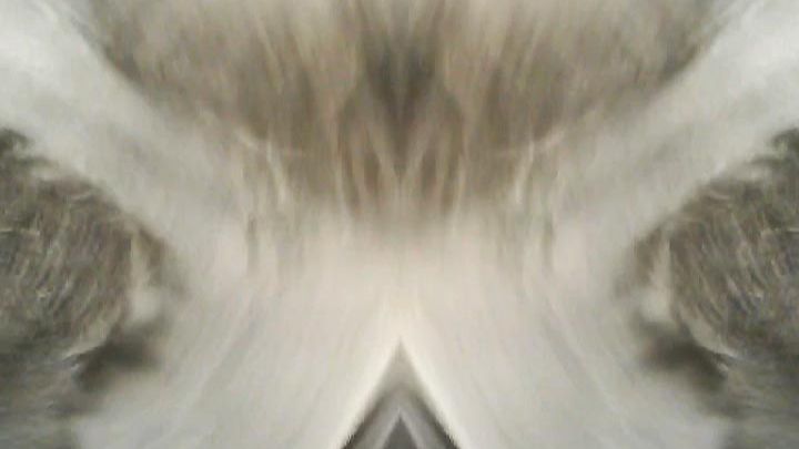 Видеопроект 