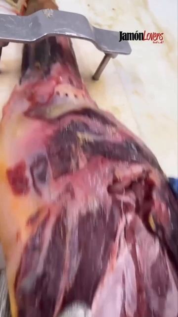 Видео от Вкусняшка смотреть онлайн