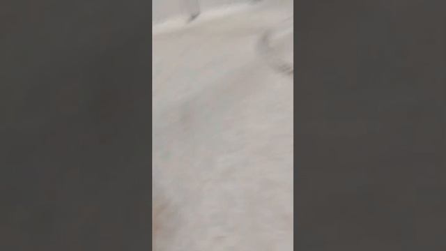 вай смотреть онлайн