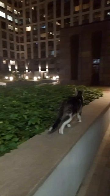 1000059011.mp4 смотреть онлайн