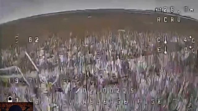 💪 Олень-суицидник хотел обнулиться о наш дрон смотреть онлайн