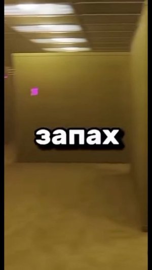 что произойдет если насрать на уровне веселья