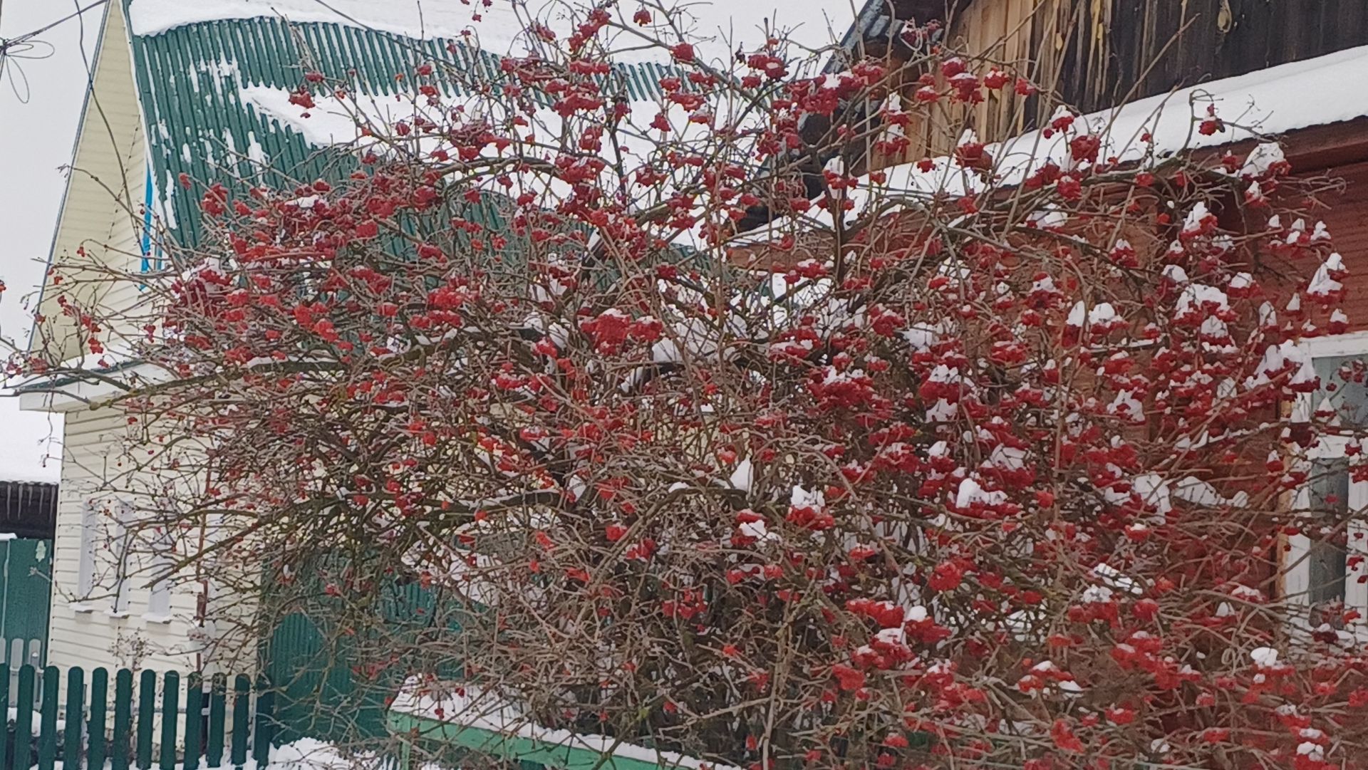 По снежно- ледовой дороге за продуктами.