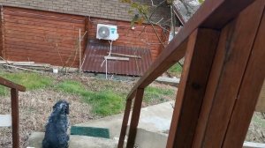 СОЧИ ГОРНОЕ ЛОО ВЕЧЕР 10.01.2026