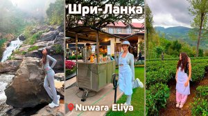 ОБЕЗЬЯНКИ 🙊 КАМНЕПАД 🪨 СЛОНЫ 🐘 👉🏻 едем в ГОРЫ на Чайную ПЛАНТАЦИЮ 📍👒