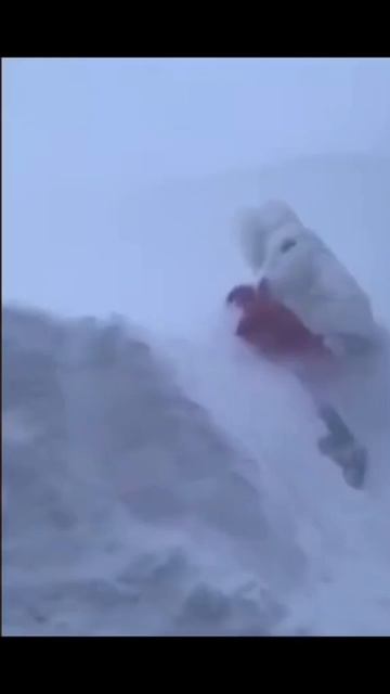 Вы любите маркетплейсы? Где заказываете себе чаще? 
#алькинлялькин #alkinlyalkin #alkin_lyalkin