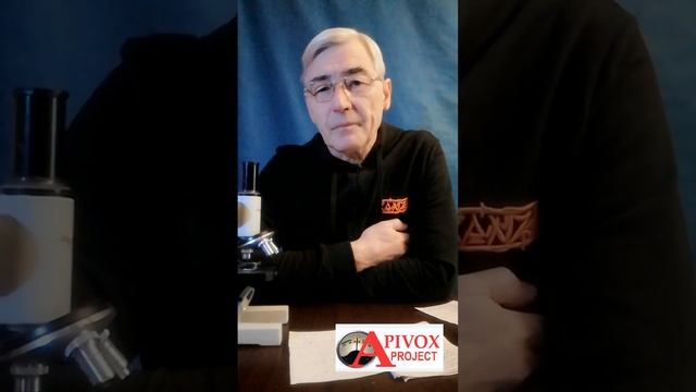 КОРОТКО О ВАЖНОМ. ПЧЕЛЫ. Метаболизация щавелевой кисл? смотреть онлайн