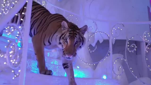 Discover the new Tiger Jungle Adventure at Phuket FantaSea (Таиланд, Пхукет) смотреть онлайн