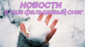 Новости | невероятно | популярное | чудеса | снег | новый год | праздники | топ